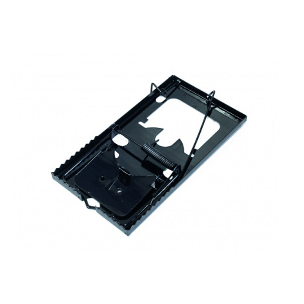 ���������� �����. 160*85 �� ���� 004-1659