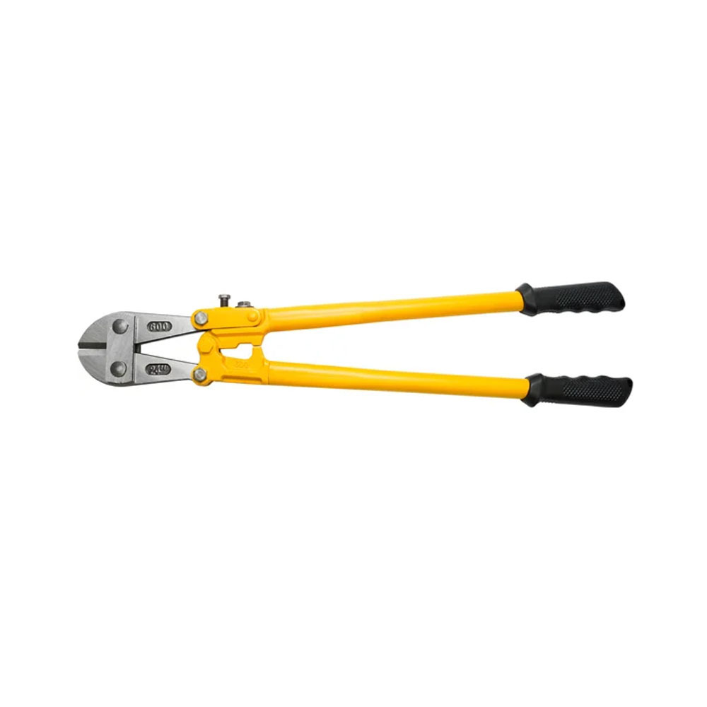 �������� 24