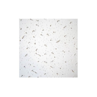 ���������� ������ ANGARA (8.64�2)