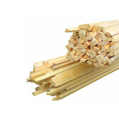 ������ (3 �)